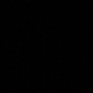 Meet your Posher, Niki